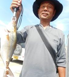 鹿島港魚釣園 釣果