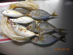 鹿島港魚釣園 釣果