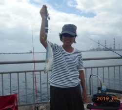 鹿島港魚釣園 釣果