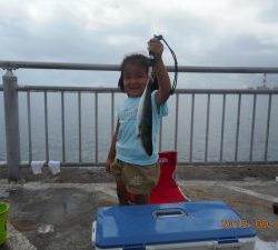 鹿島港魚釣園 釣果