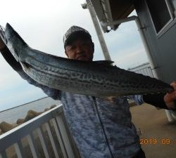 鹿島港魚釣園 釣果