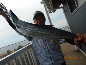 鹿島港魚釣園 釣果
