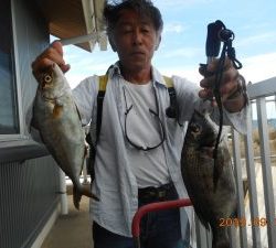 鹿島港魚釣園 釣果