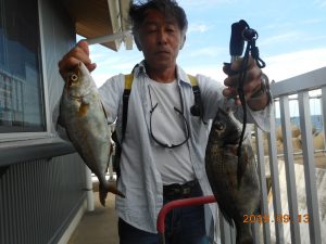 鹿島港魚釣園 釣果