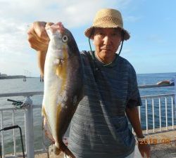 鹿島港魚釣園 釣果