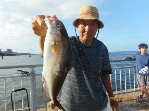 鹿島港魚釣園 釣果