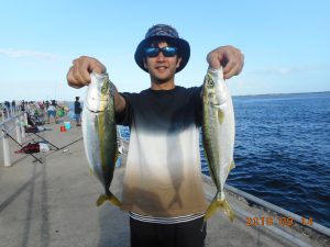 鹿島港魚釣園 釣果