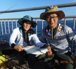 鹿島港魚釣園 釣果