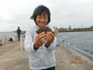 鹿島港魚釣園 釣果