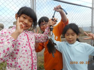 鹿島港魚釣園 釣果