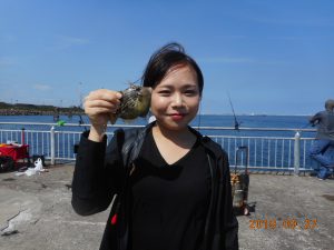 鹿島港魚釣園 釣果