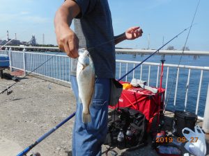 鹿島港魚釣園 釣果