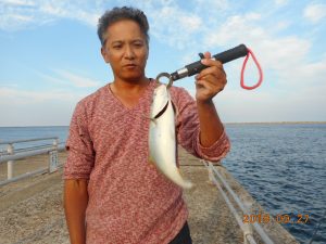 鹿島港魚釣園 釣果