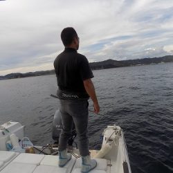 フィッシングボート空風（そらかぜ） 釣果
