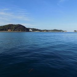 フィッシングボート空風(そらかぜ) 釣果