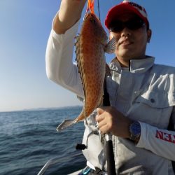 フィッシングボート空風(そらかぜ) 釣果