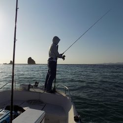 フィッシングボート空風(そらかぜ) 釣果