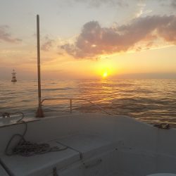 フィッシングボート空風(そらかぜ) 釣果