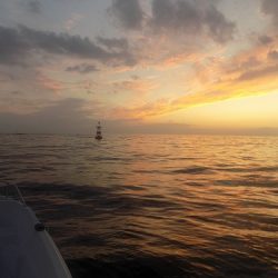 フィッシングボート空風(そらかぜ) 釣果