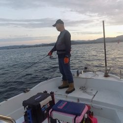フィッシングボート空風(そらかぜ) 釣果