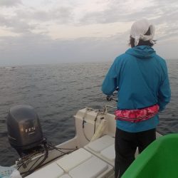 フィッシングボート空風(そらかぜ) 釣果