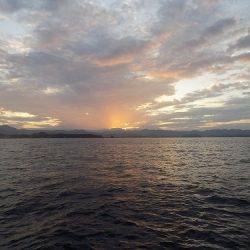 フィッシングボート空風(そらかぜ) 釣果