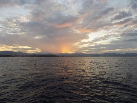 フィッシングボート空風(そらかぜ) 釣果