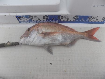 フィッシングボート空風(そらかぜ) 釣果