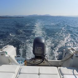 フィッシングボート空風(そらかぜ) 釣果