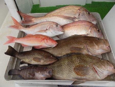 フィッシングボート空風(そらかぜ) 釣果