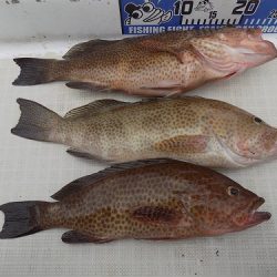 フィッシングボート空風(そらかぜ) 釣果