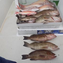 フィッシングボート空風(そらかぜ) 釣果