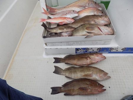 フィッシングボート空風(そらかぜ) 釣果