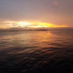 フィッシングボート空風(そらかぜ) 釣果