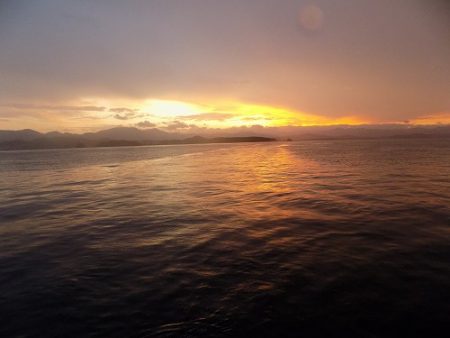 フィッシングボート空風(そらかぜ) 釣果