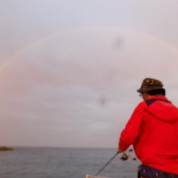 フィッシングボート空風(そらかぜ) 釣果