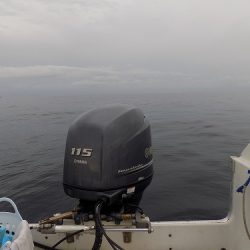 フィッシングボート空風(そらかぜ) 釣果