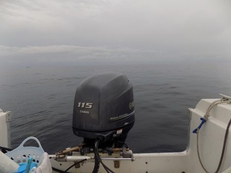 フィッシングボート空風(そらかぜ) 釣果