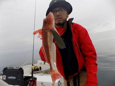 フィッシングボート空風(そらかぜ) 釣果