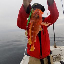 フィッシングボート空風(そらかぜ) 釣果
