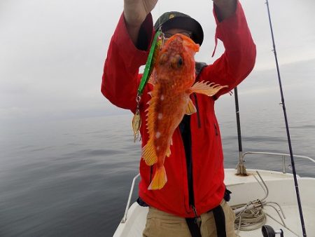 フィッシングボート空風(そらかぜ) 釣果