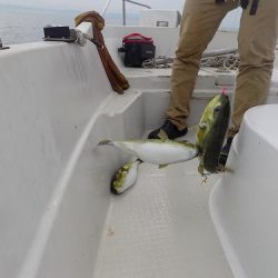 フィッシングボート空風(そらかぜ) 釣果