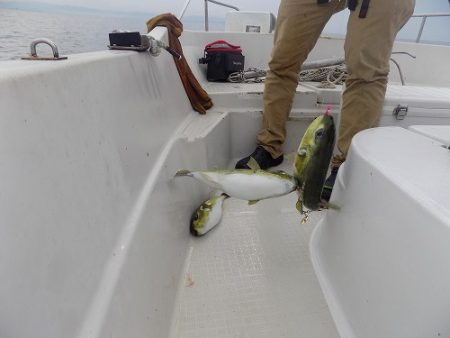 フィッシングボート空風(そらかぜ) 釣果