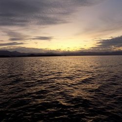 フィッシングボート空風(そらかぜ) 釣果