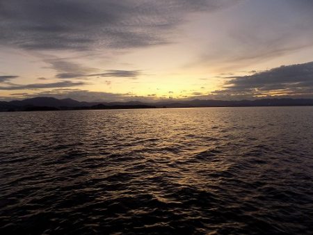フィッシングボート空風(そらかぜ) 釣果