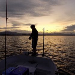 フィッシングボート空風(そらかぜ) 釣果