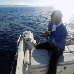 フィッシングボート空風（そらかぜ） 釣果