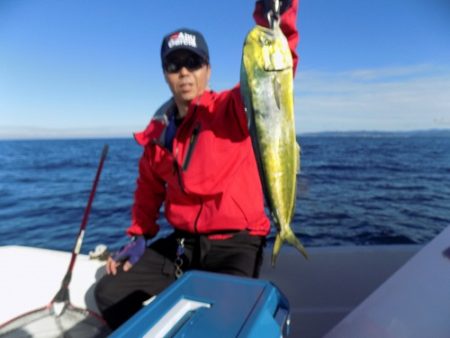 フィッシングボート空風（そらかぜ） 釣果