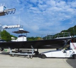 Fisherman Dreams DI 釣果