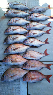 釣り舟　海竜 釣果